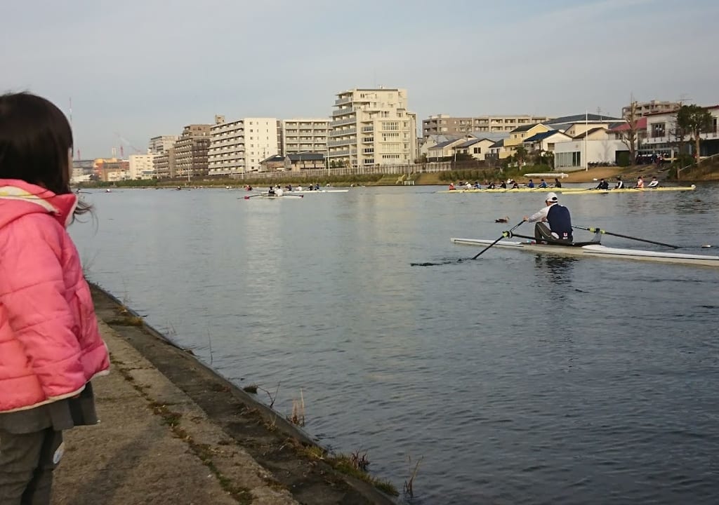 レガッタ