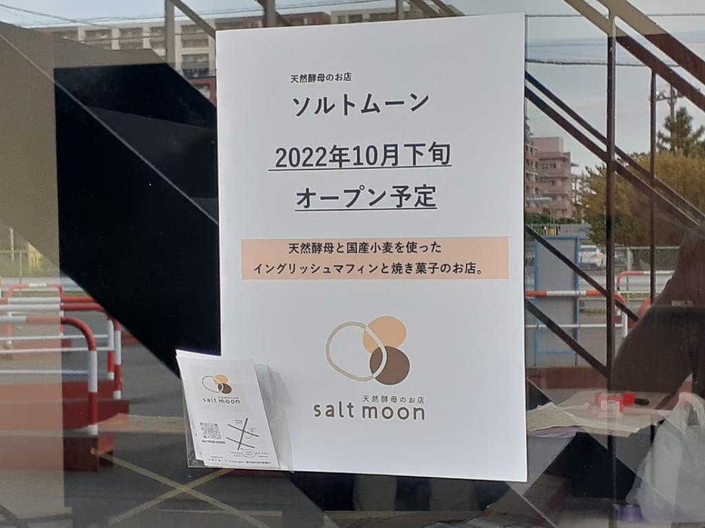 saltmoon