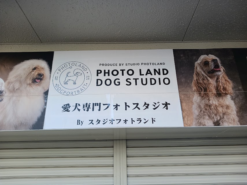 dog-photoland