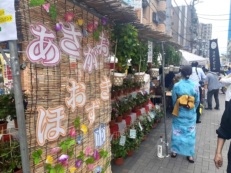 tsukagoshi