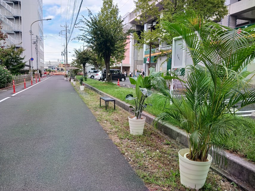kitatoda
