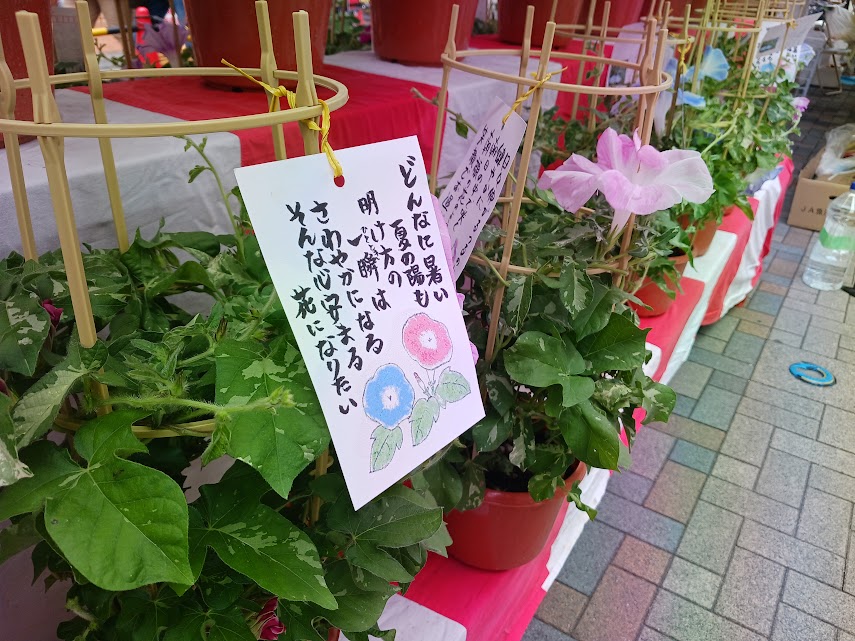 tsukagoshi