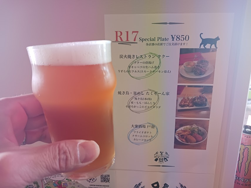 r17